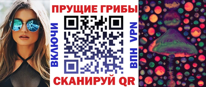Псилоцибиновые грибы мицелий  даркнет сайт  Кольчугино 